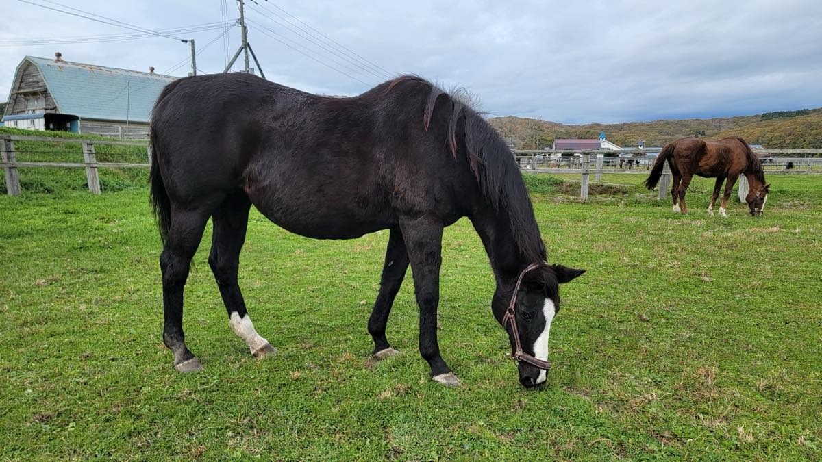 3d481988dde5dc7bdfa6678ec7979d2c-1763313812.jpg 3d481988dde5dc7bdfa6678ec7979d2c-1763313812.jpg